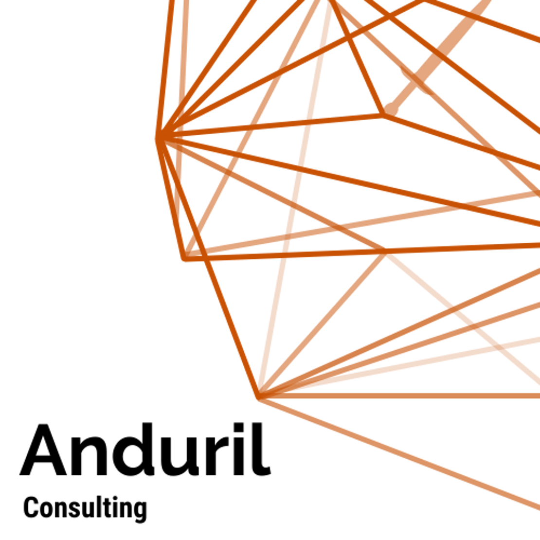 Anduril Consulting About Us
